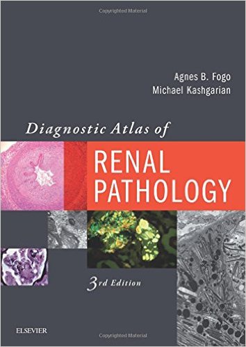 Diagnostic Atlas of Renal Pathology 3/E 2017(已絕版)