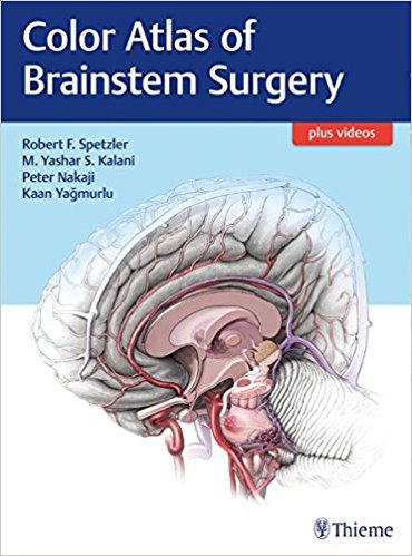 Color Atlas of Brainstem Surgery 2017