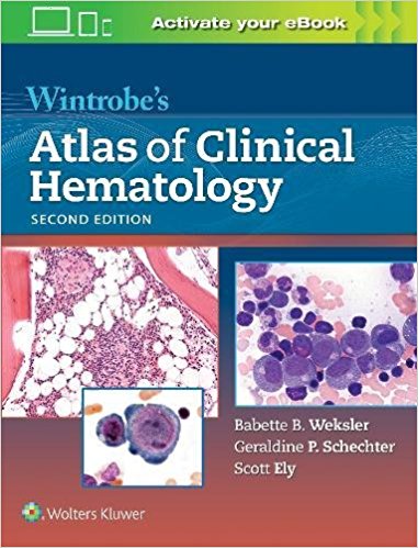 Wintrobe's Atlas of Clinical Hematology 2/E 2018