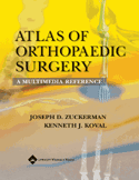 Atlas of Orthopaedic Surgery: A Multimedia Reference+DVD