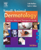 Small Animal Dermatology, 2nd Edition - A Color Atlas and Therapeutic Guide