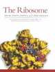 The Ribosome: Structure, Function, Antibiotics, and Cellular Interactions