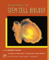Essentials of Stem Cell Biology 2006