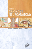 Netter's Concise Neuroanatomy