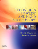 Techniques in Wrist and Hand Arthroscopy with DVD