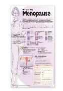 Understanding Menopause Anatomical Chart Laminated