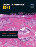 Diagnostic Pathology : Bone + Website