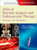 Atlas of Vascular Surgery and Endovascular Therapy Anatomy and Technique (Expert Consult - Online and Print)  2014